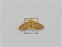藏品(夜蛾4)的圖片